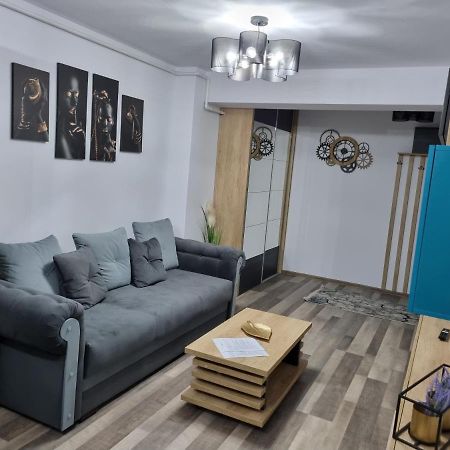 Luxury Apartments Bacău Extérieur photo