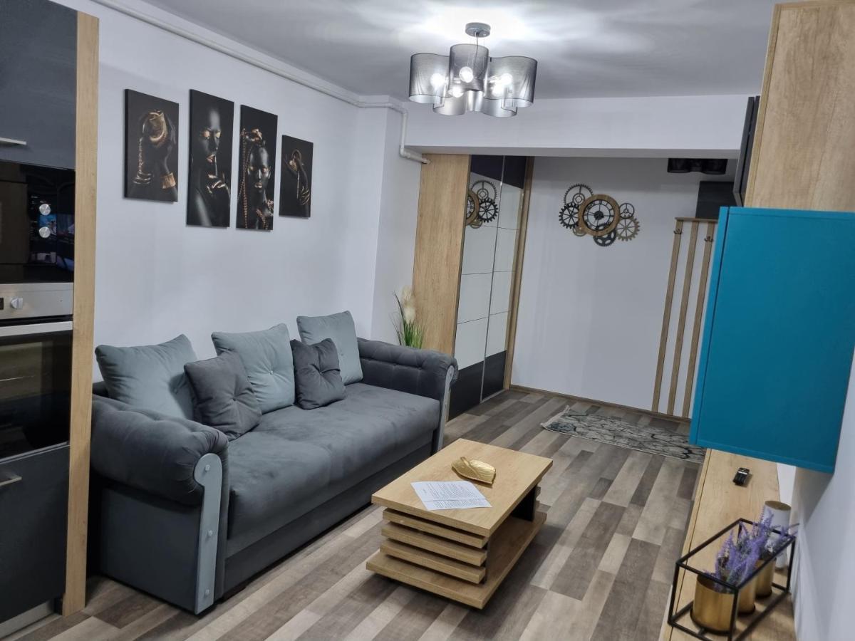 Luxury Apartments Bacău Extérieur photo