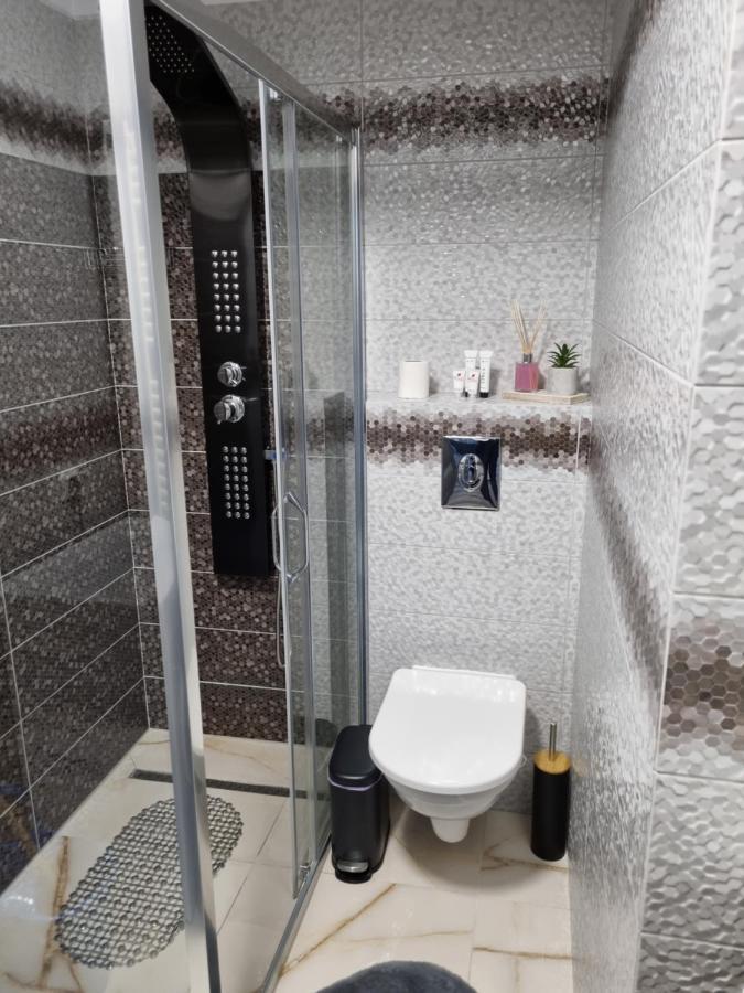 Luxury Apartments Bacău Extérieur photo