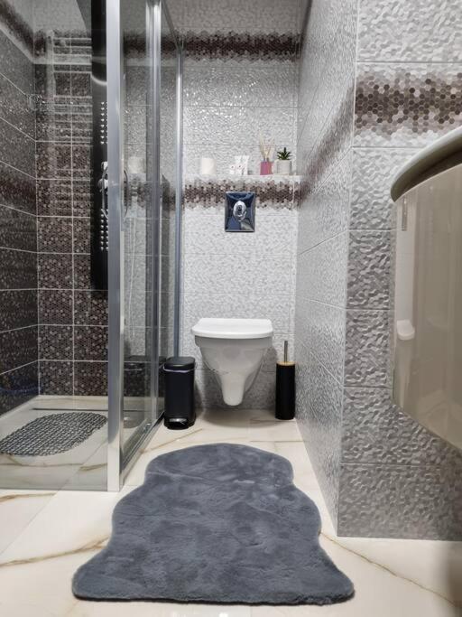 Luxury Apartments Bacău Extérieur photo