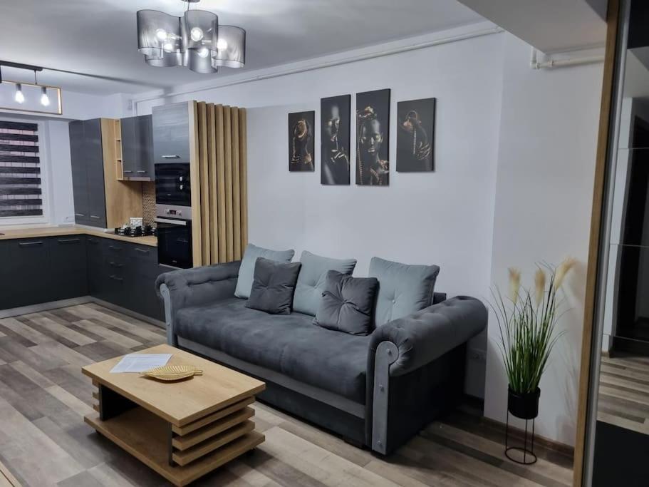 Luxury Apartments Bacău Extérieur photo